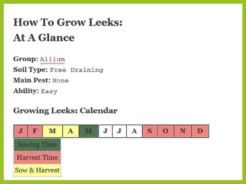 How to grow leeks