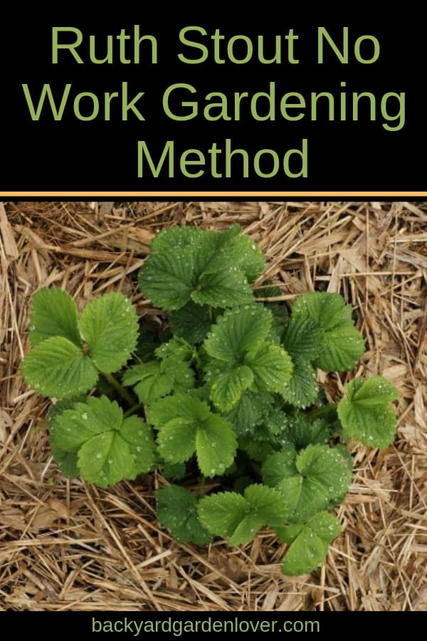 Ruth Stout Gardening Method Ruth Stout Gardening Method