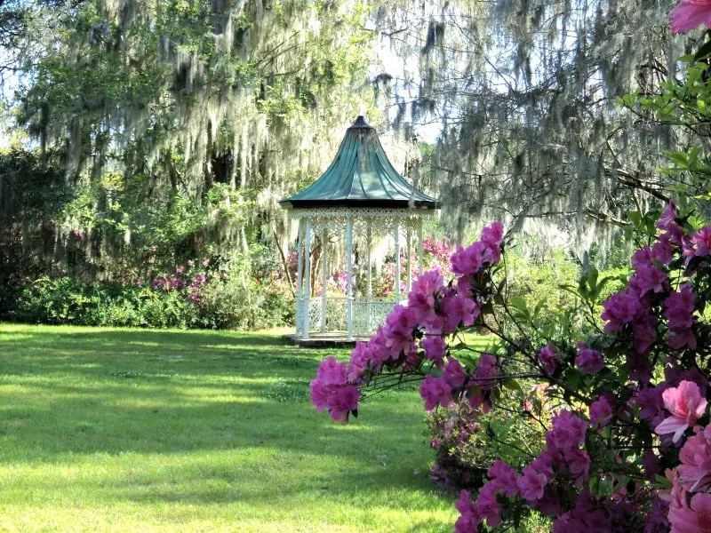 Tall white gazebo surrounded by nature 