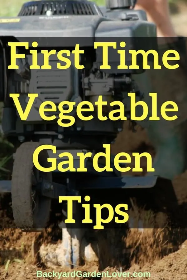First-time vegetable garden tips