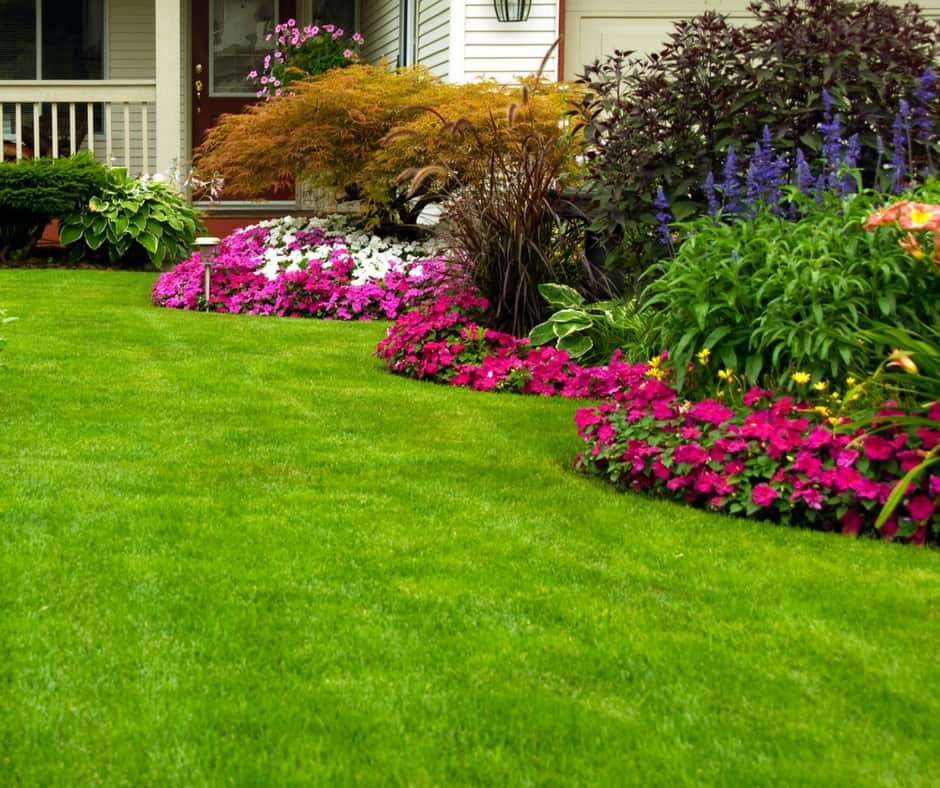 Beautifully manicured lawn with lots of pretty flowers