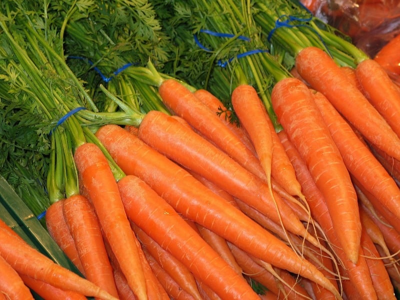 a bunch of freshly picked and cleaned carrots