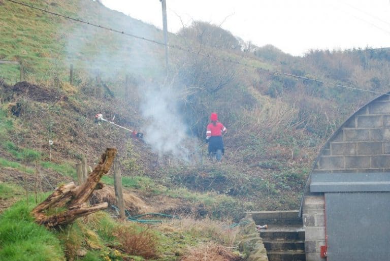 Clearing an overgrown spot for a new garden