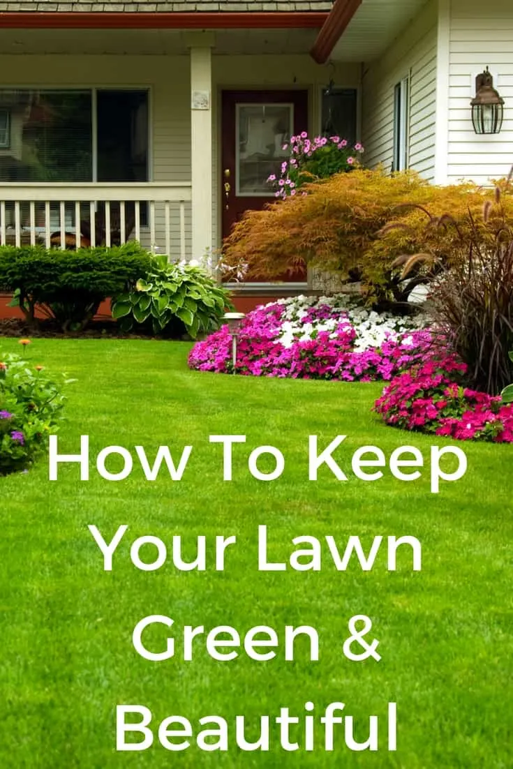 How to keep your lawn green and beautiful