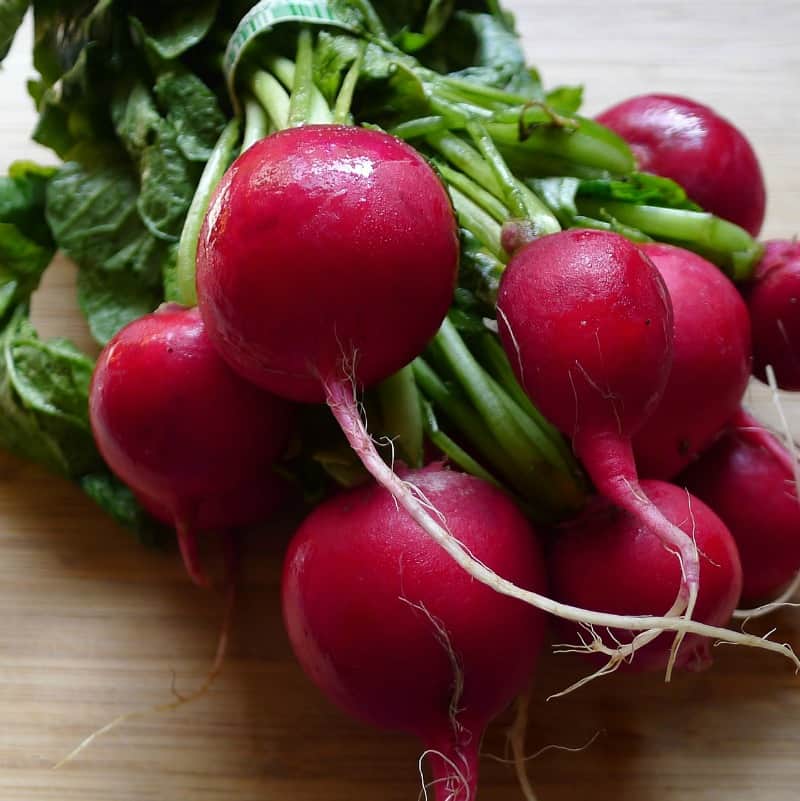 Fresh form the garden bunch of radishes