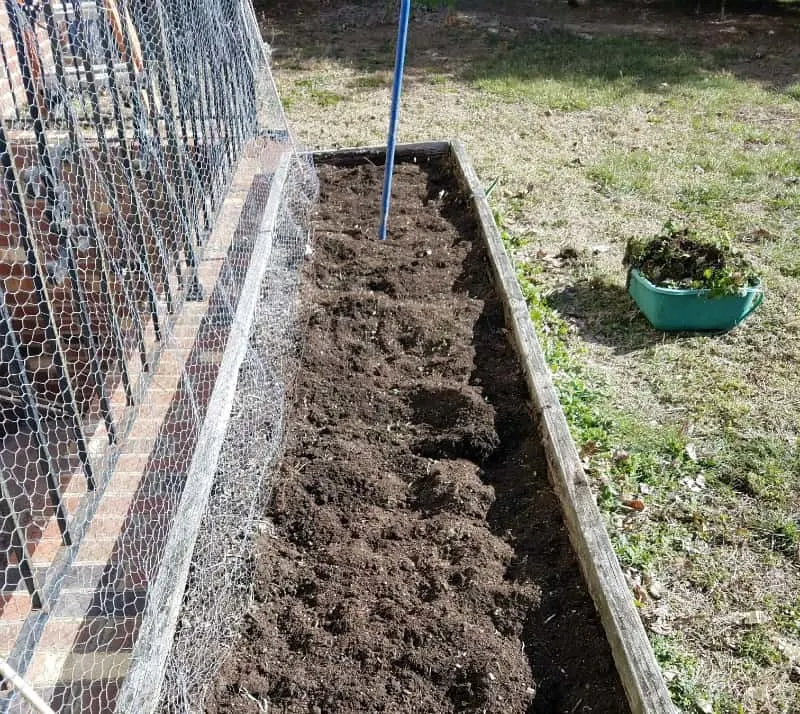 Raised bed after we pulled all the weeds