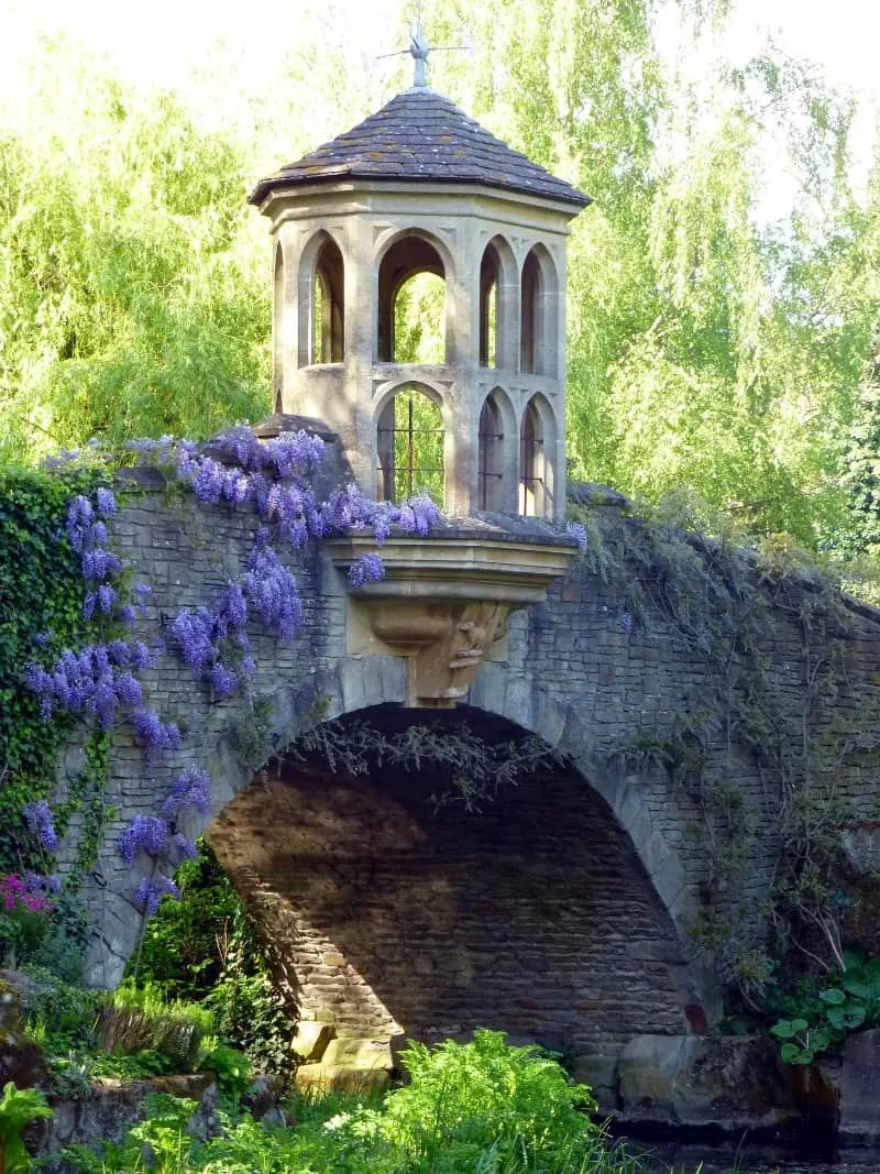 Bridge covered with wisteria flowers