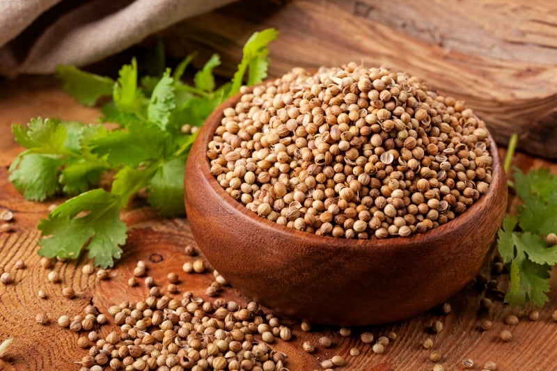 A bowl of coriander seeds