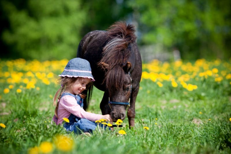 25 Pictures Of Animals And Flowers That Will Melt Your Heart 25 Pictures Of Animals And Flowers That Will Melt Your Heart