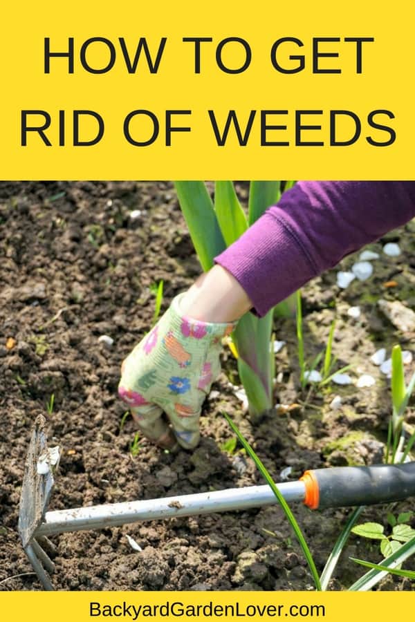 How To Get Rid Of Weeds For Good