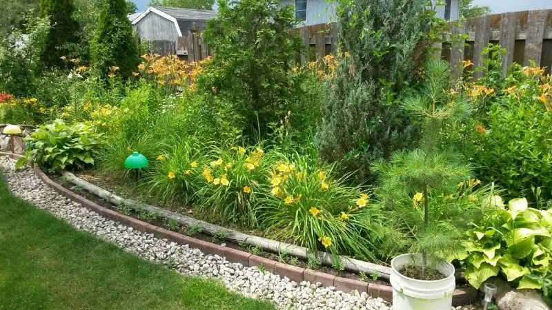 Mediterranean garden bordering a rock path