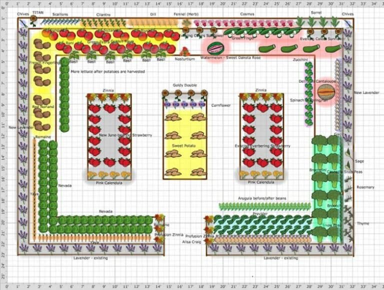 vegetable garden layout planner