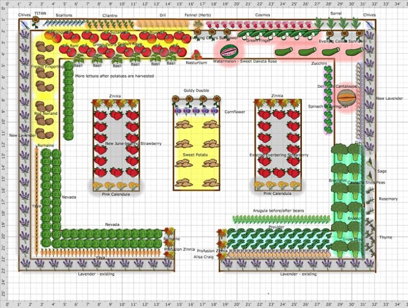 Bordered garden plan