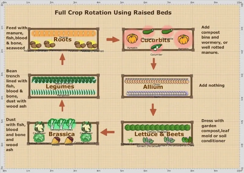Full crop rotation using raised beds