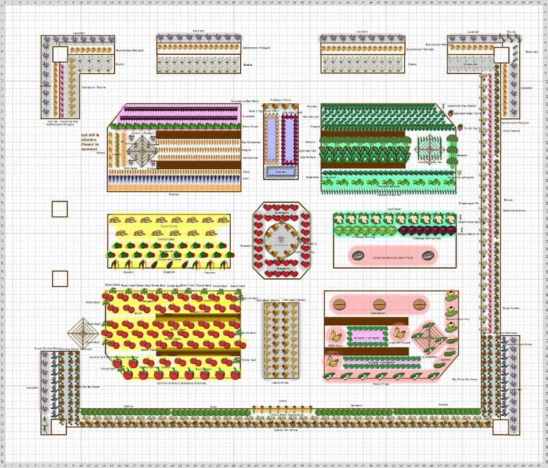 This garden plan presents a border made of herbs and flowers to protect vegetables from pests