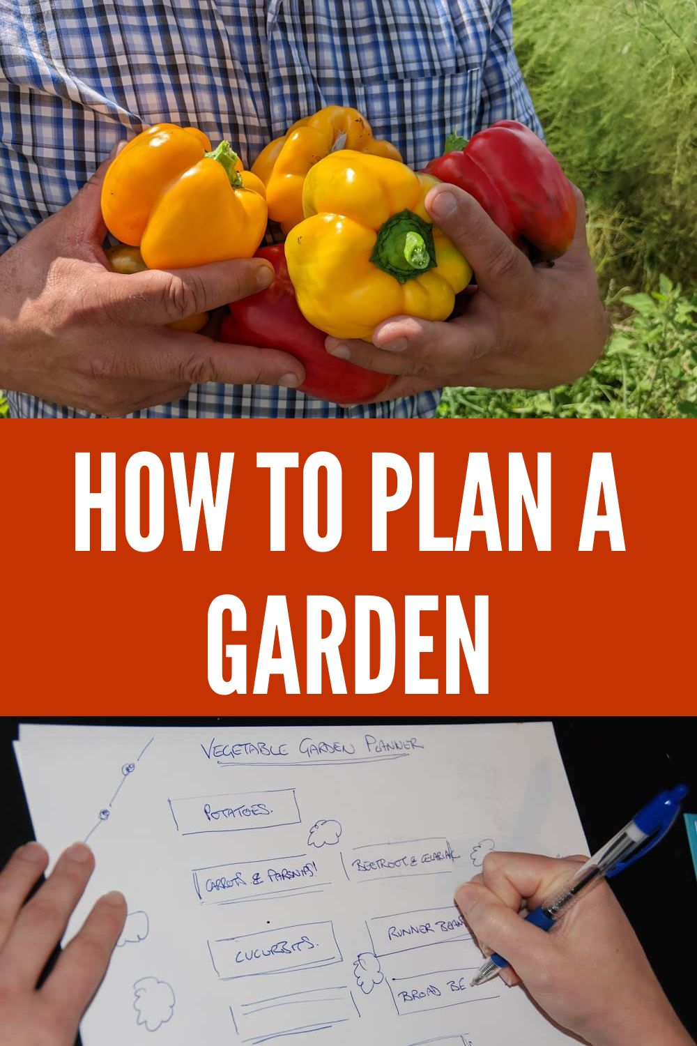 How to plan a garden.