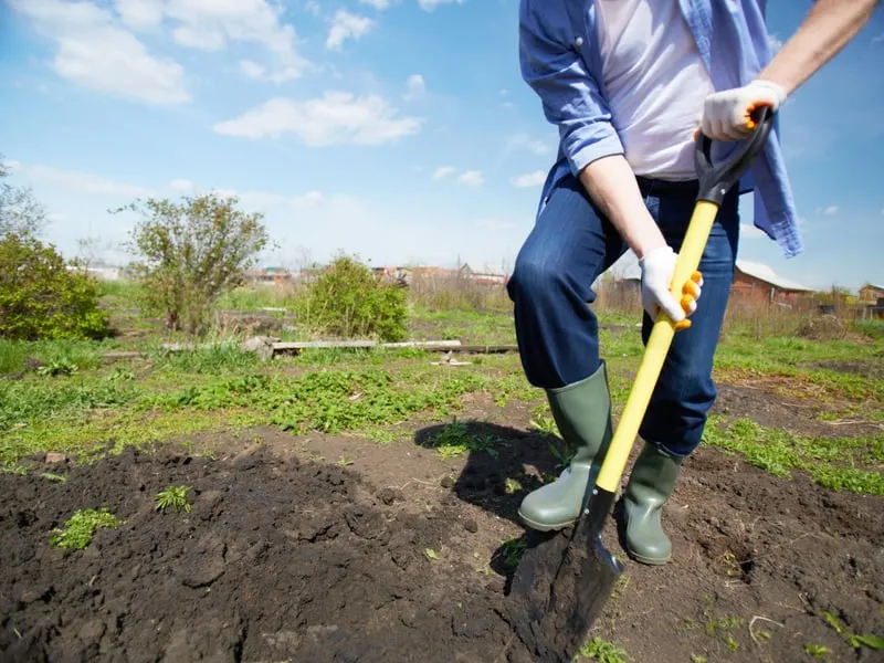 Man digging in the garden