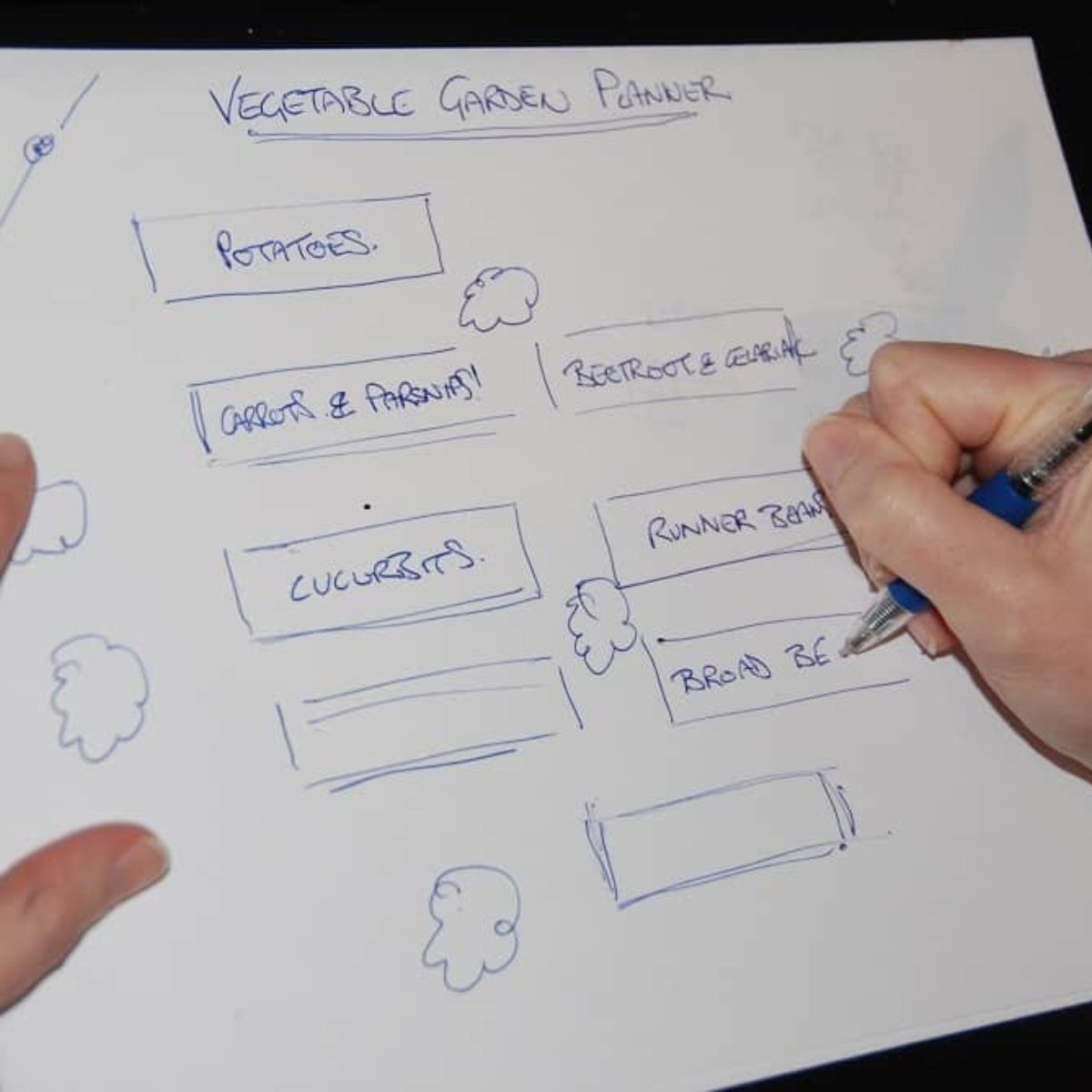 Planning the garden on paper