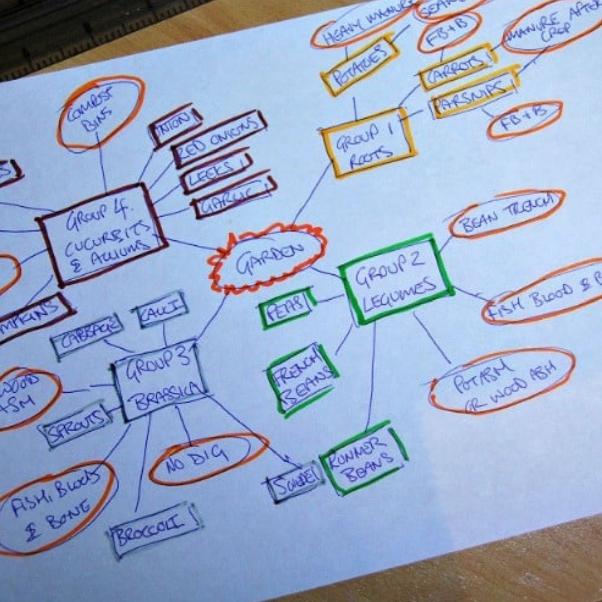A Colorful vegetetable groups mind-map on a piece of paper.