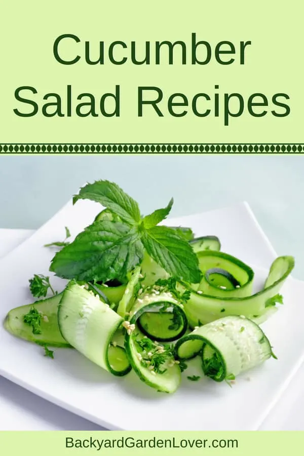 Fancy cucumber salad with mint leaves 
