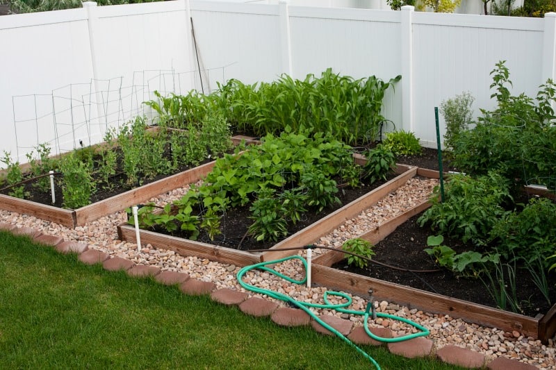 Small Space Gardening Ideas