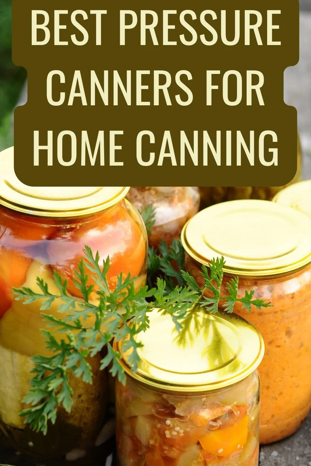 Best pressure canners for home canning