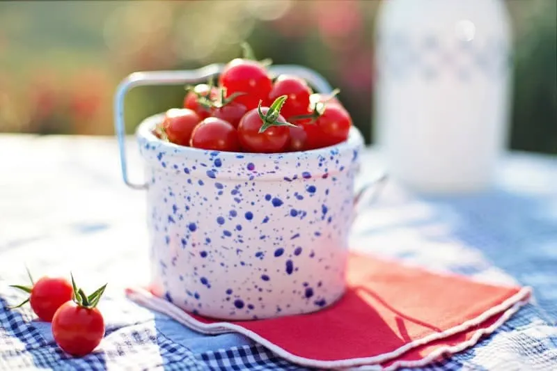 Ripe cherry tomatoes in a white bucket