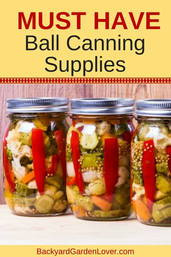 Canned vegetables in Mason jars
