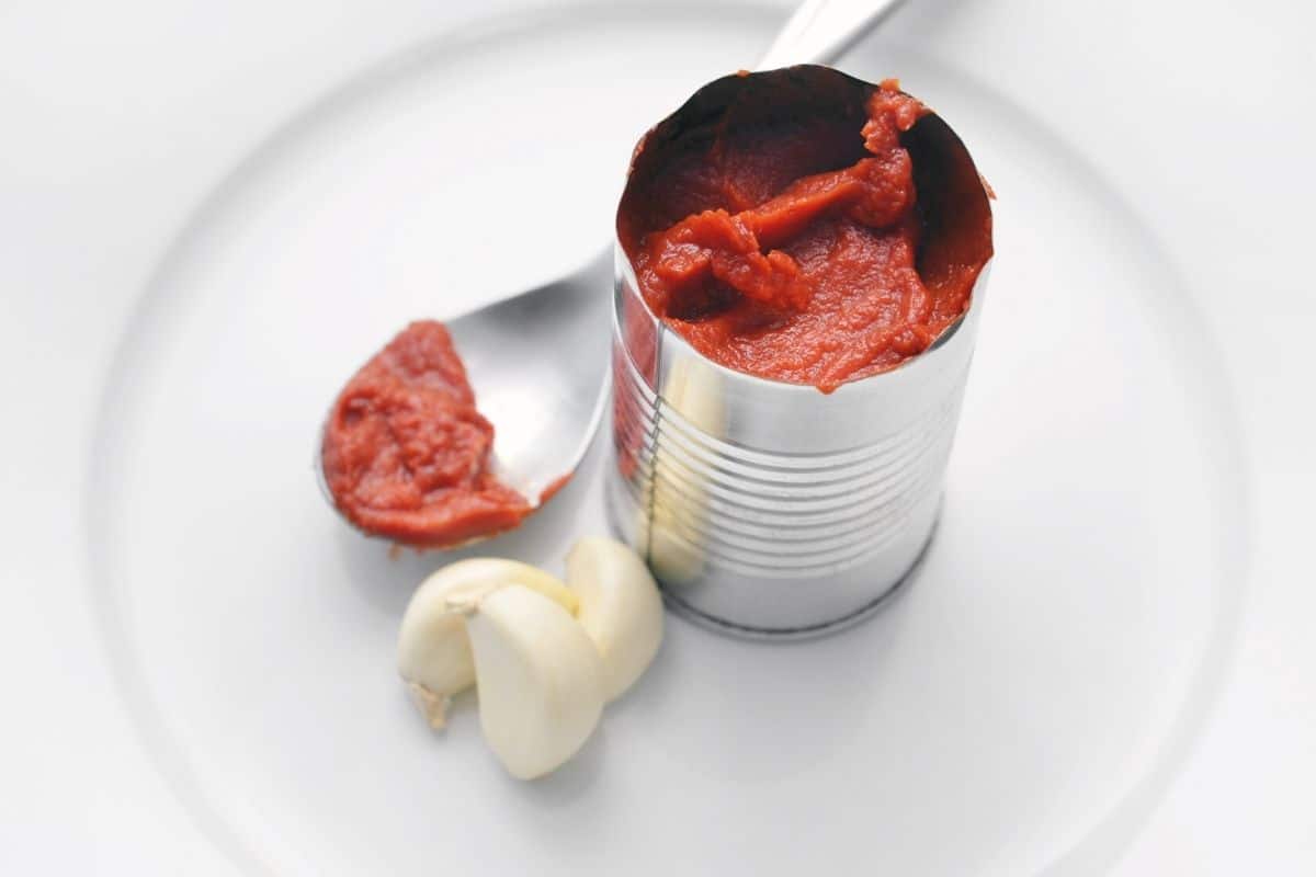 canned tomato paste