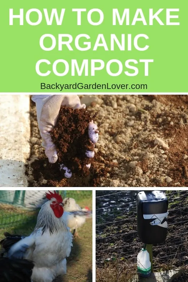 Collage of things that help make organic compost