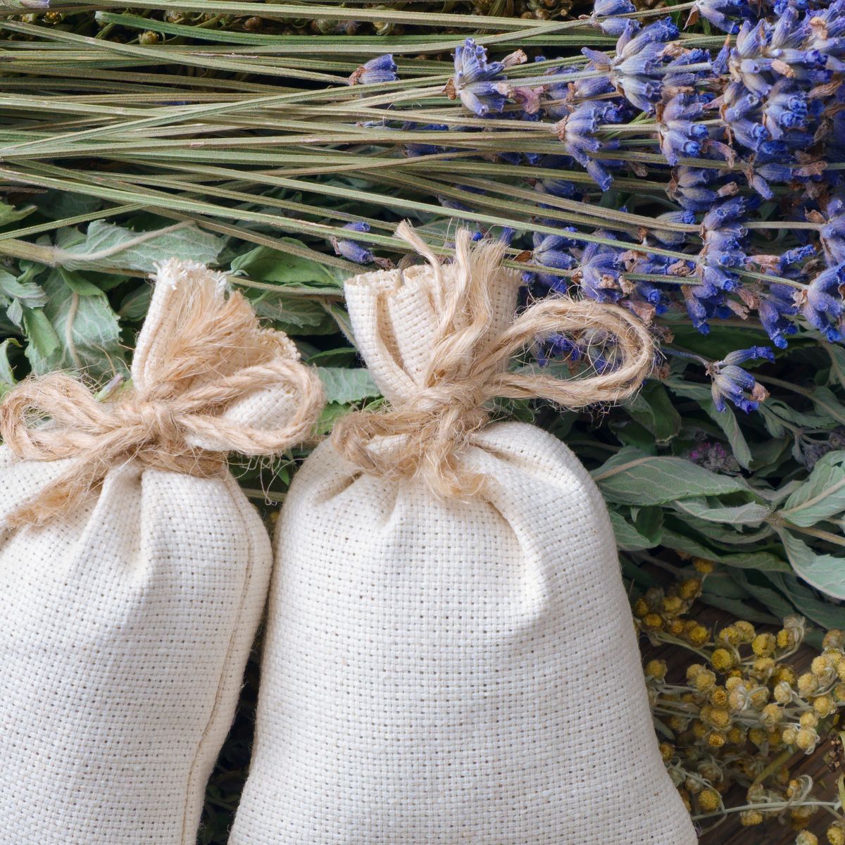 Dream pillows with some lavender flowers behind them.