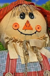 Cute Scarecrow