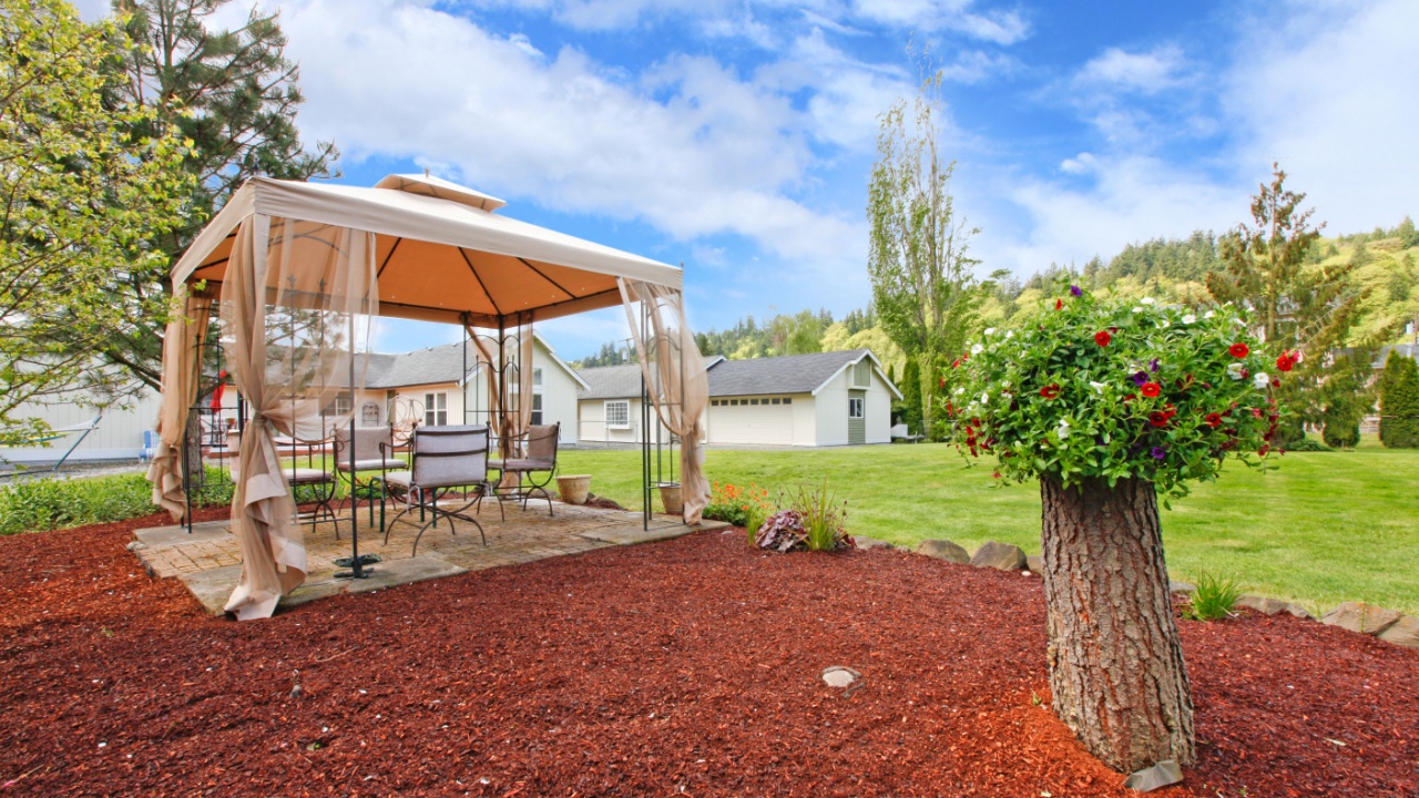 beautiful backyard gazebo and trees