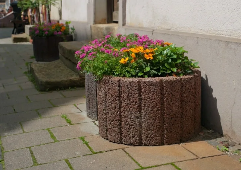 Large stone planters with blooming flowers on a sidewalk