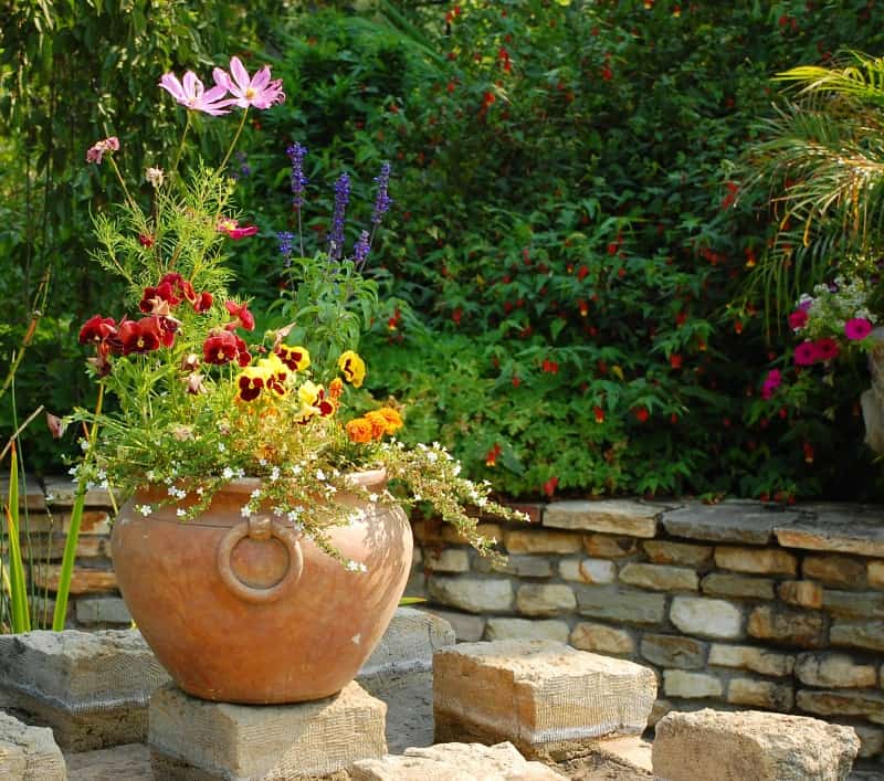 Large outdoor planter with bright flowers