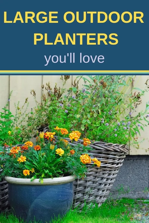 Large outdoor planters - Pinterest image