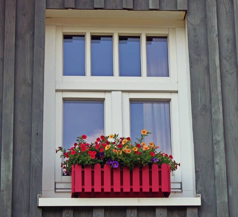 Colorful flowers by the window