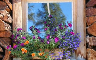 Decorative flowers in a window box planter