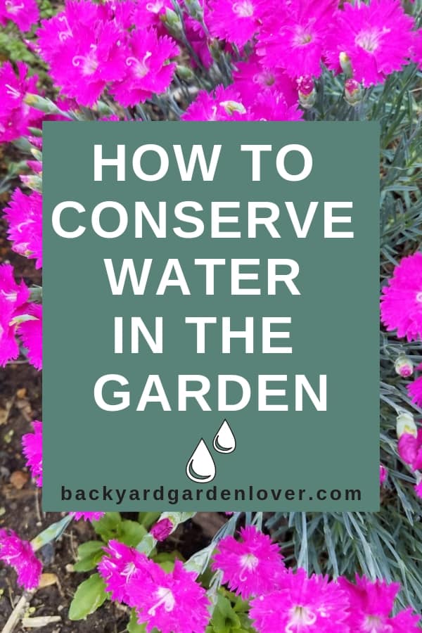 How to conserve water in the garden