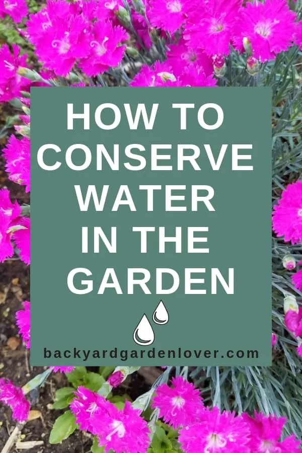 How to conserve water in the garden