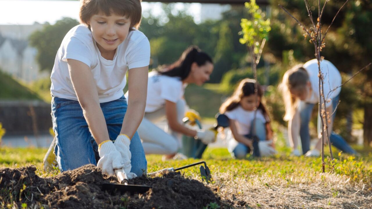 Young boy digging in the garden.
