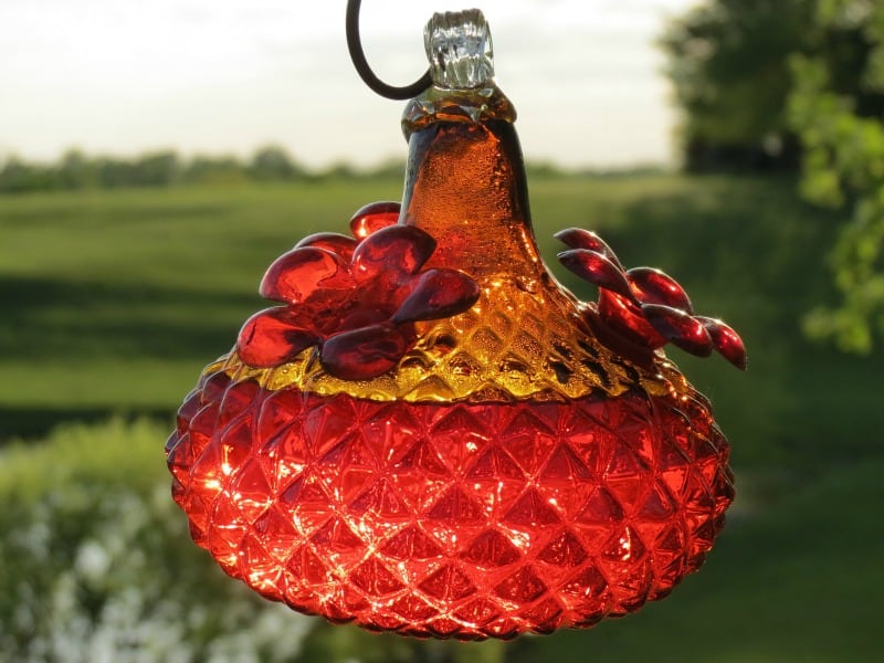 Red glass hummingbird feeder