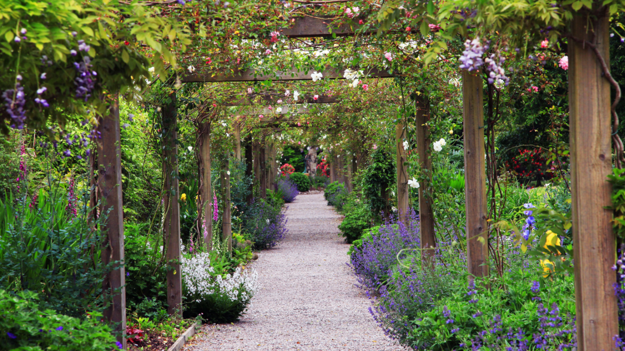 english cottage trellis arches roses romantic