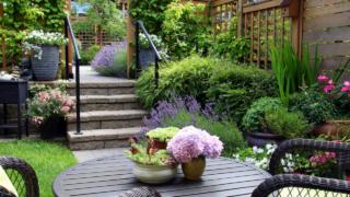 cozy townhouse backyard with lavender bushes
