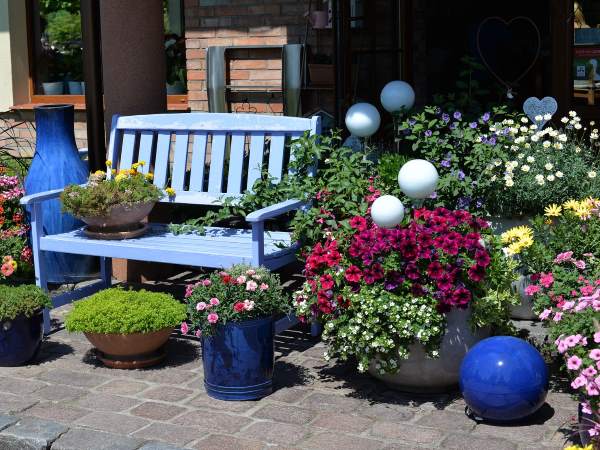 Colorful flowers that don't need a lot of water by the patio