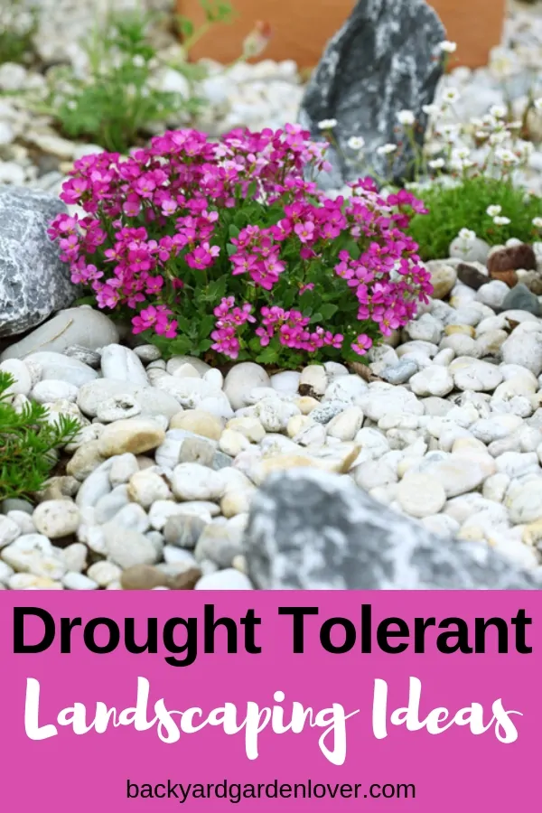 Drought tolerant landscaping ideas