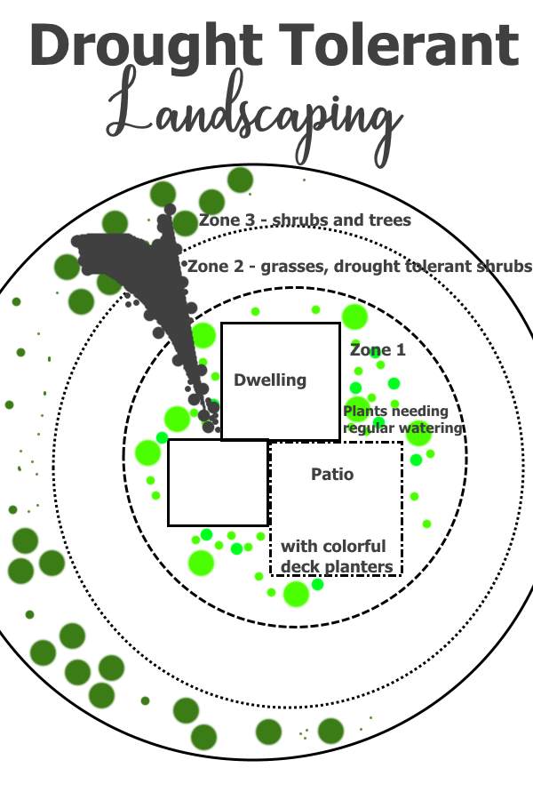 Drought tolerant landscaping plan