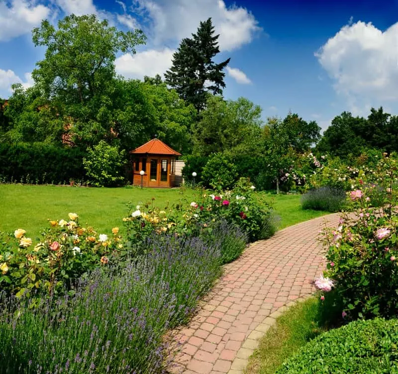 Beautiful garden with a rose lined pathway