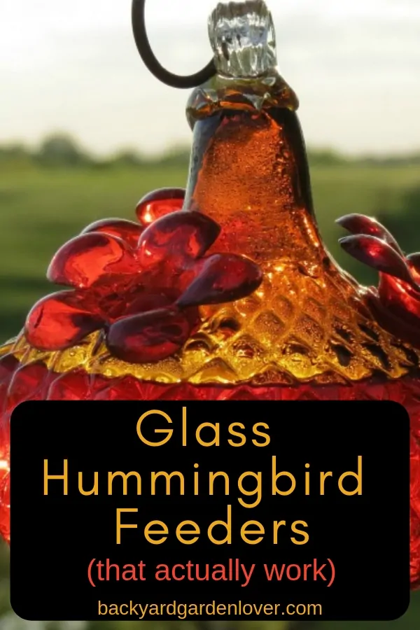 glass humminbird feeder