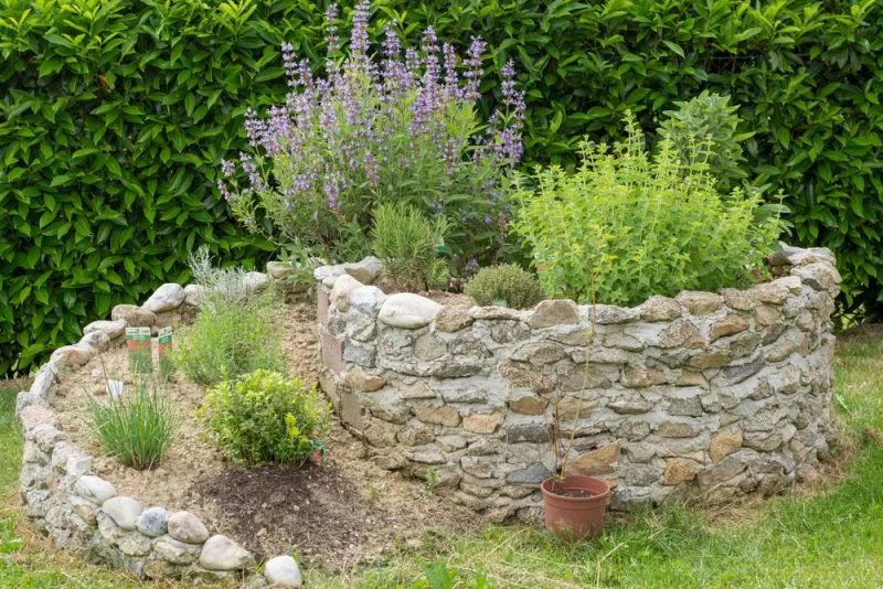 Spiral stone herb garden